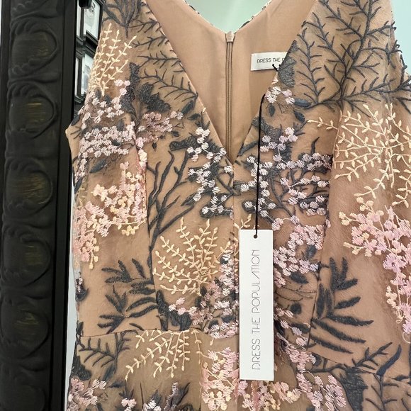 Dress the Population Dresses & Skirts - Dress The Population Sheer Embroidered Dress in Medium